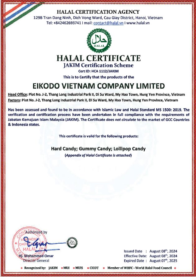 About Our Factory